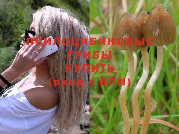 гашиш Магадан