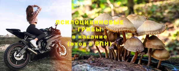 гашиш Магадан