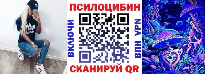 Псилоцибиновые грибы мухоморы  Купить закладки  Михайловка 